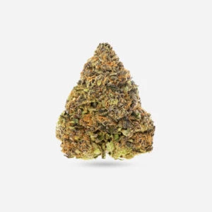 Girl Scout Cookies - Hybrid