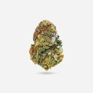 Do-Si-Dos - Indica