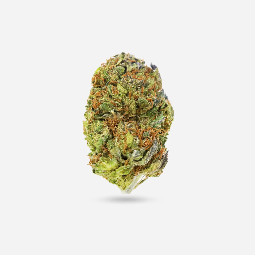 Amnesia Haze - Sativa