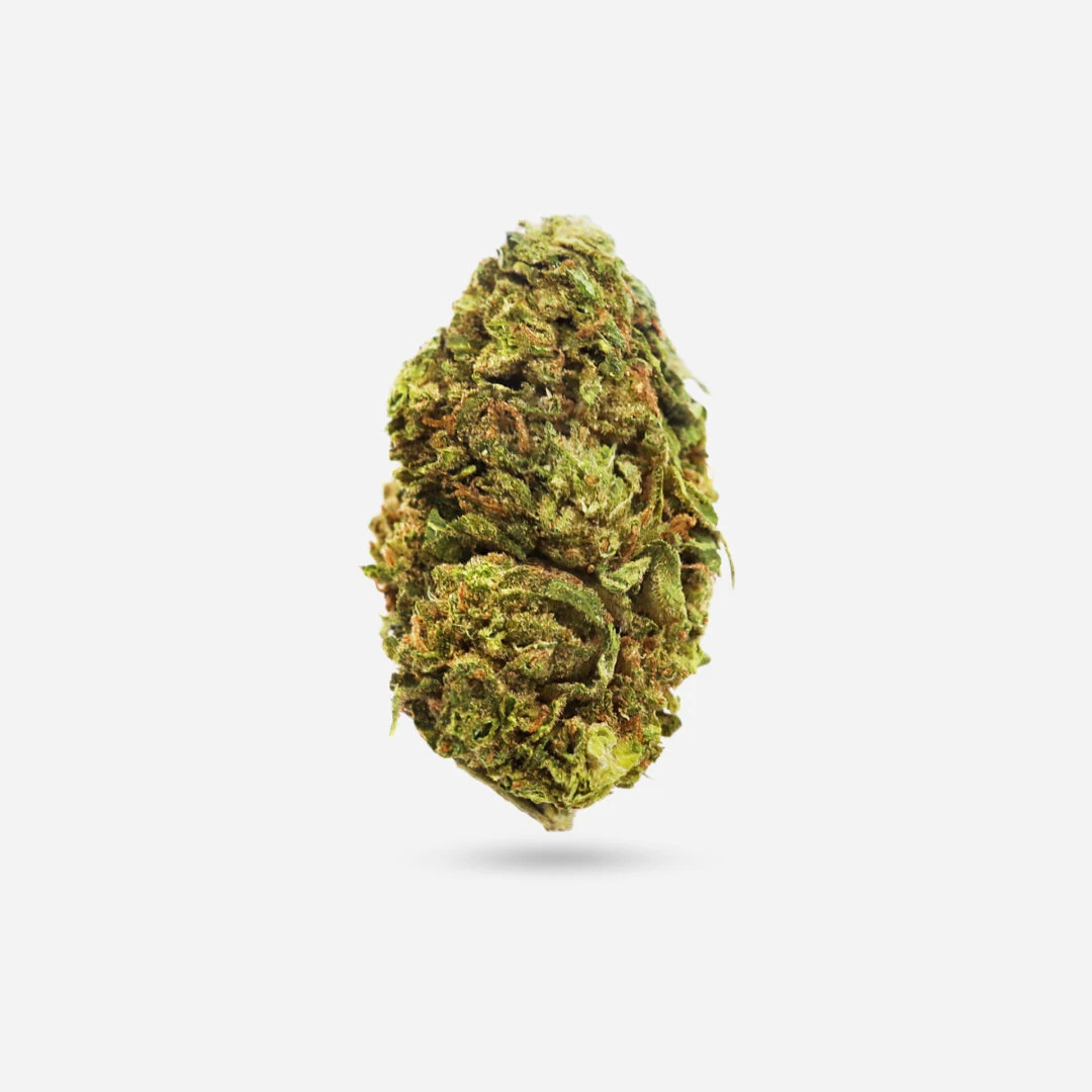 Berry Haze - Sativa