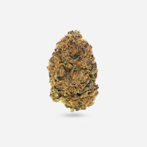 White Truffle - Indica