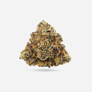 Purple Kush - Indica