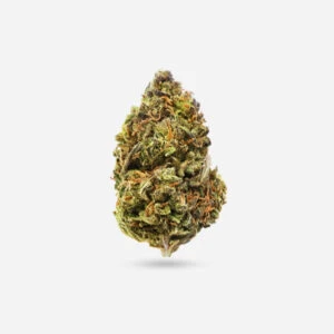 God's Green Crack - Hybrid