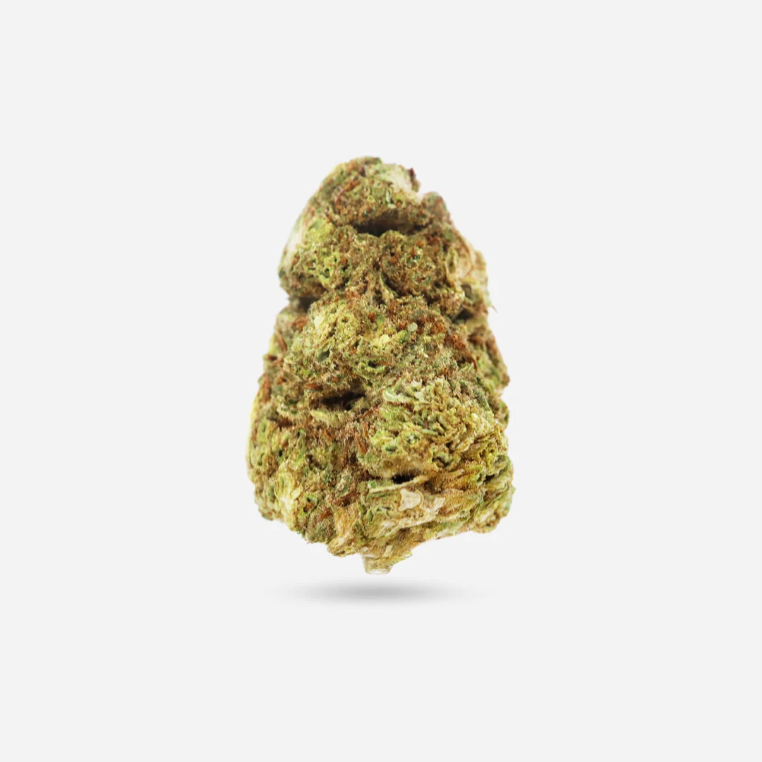 IMG_1878 papaya Papaya - Indica