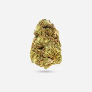 Papaya - Indica