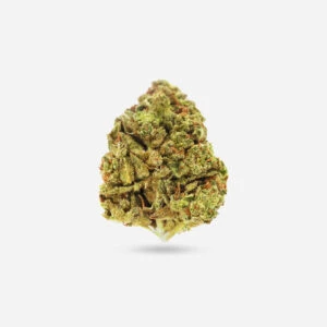 Blueberry Kush - Indica