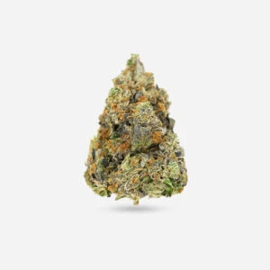 Master Kush - Indica