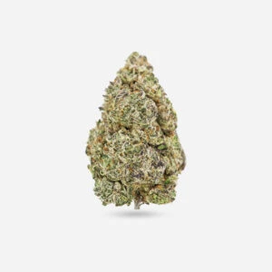 Sundae Driver - Sativa