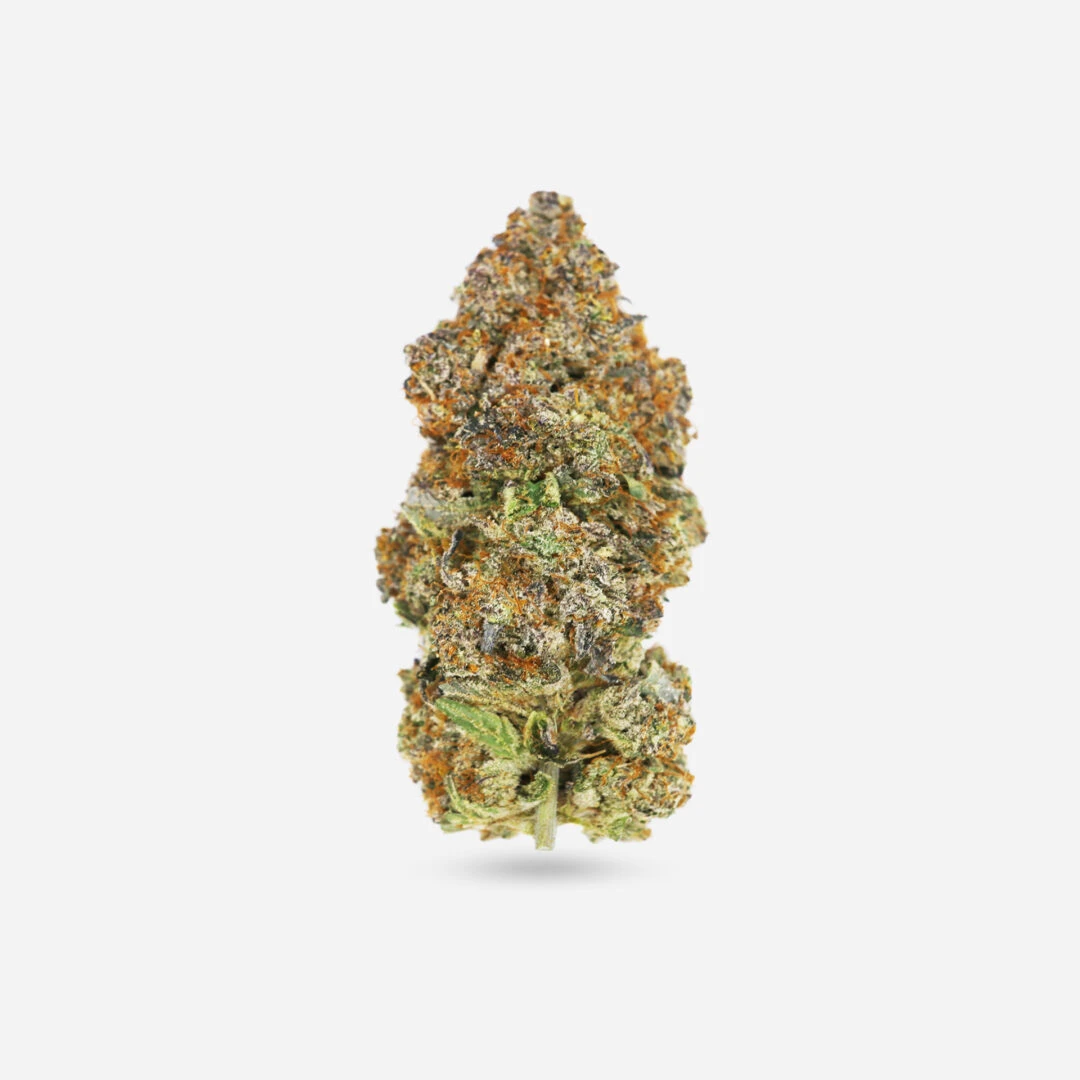 Frosted Fruit Cake - Sativa