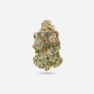 God Berry - Hybrid