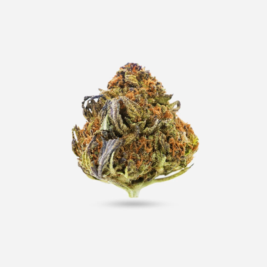 IMG_1866 thai kush Thai Kush - Sativa