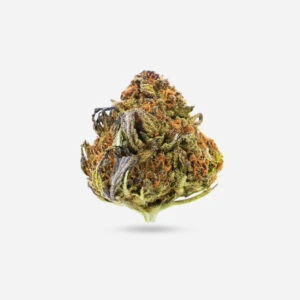 Thai Kush - Sativa