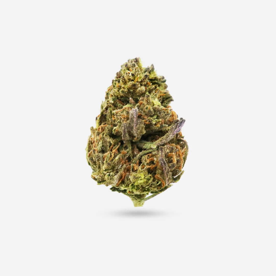 IMG_1875 grape fruit Grapefruit - Sativa