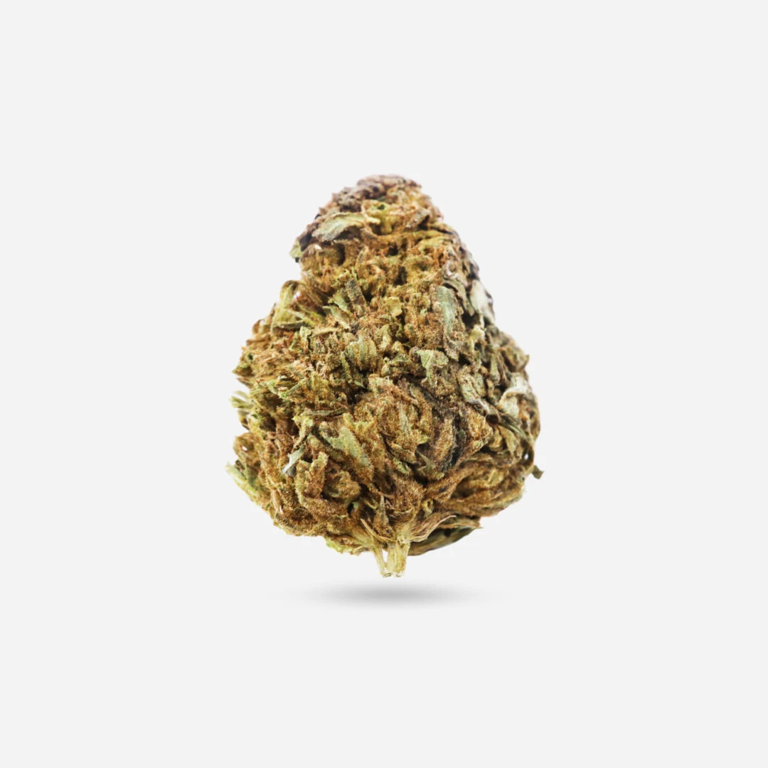IMG_1876 island sweet skunk Island Sweet Skunk - Sativa