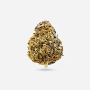 Island Sweet Skunk - Sativa