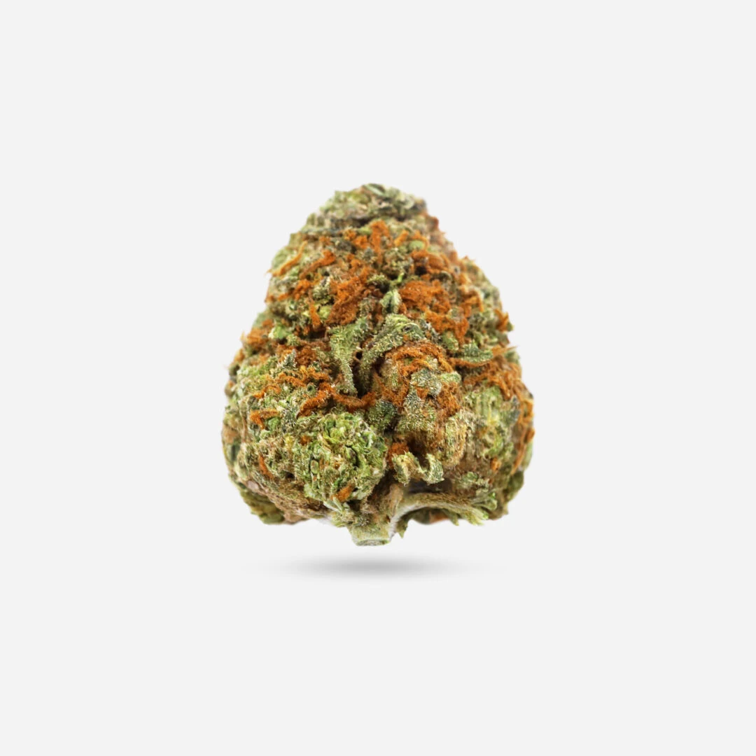 Black Cherry Soda - Hybrid