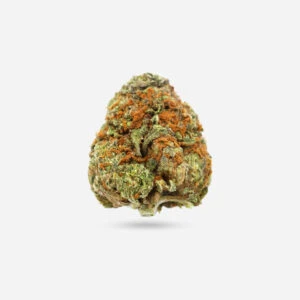 Black Cherry Soda - Hybrid